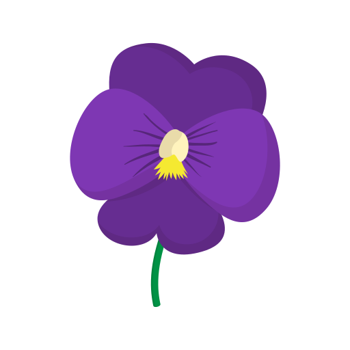 Violet